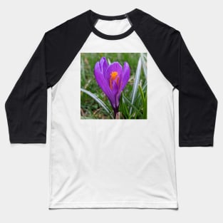 Purple and Orange Flower in Grass Baseball T-Shirt